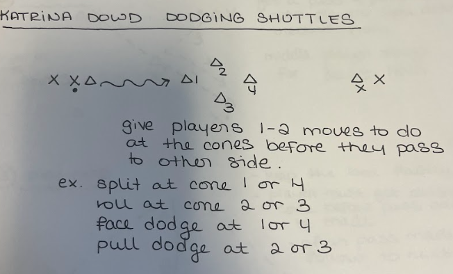 Dodging Shuttle